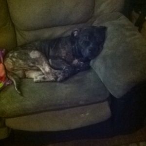 Meet your Posher, Loretta