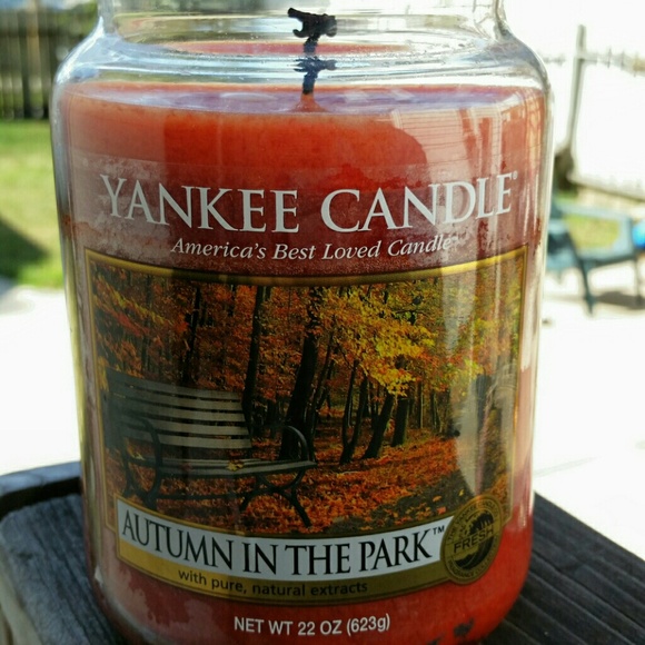 Autumn in the Park