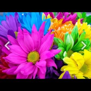 Meet your Posher, Chrishear