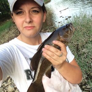 Meet your Posher, Gabriel