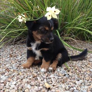 Meet your Posher, Em