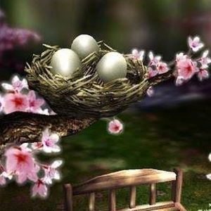 Meet your Posher, Le