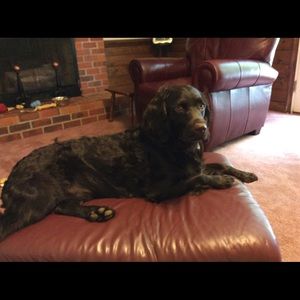 Meet your Posher, Doris