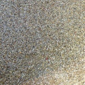 Meet your Posher, Mihaela