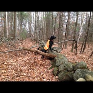 Meet your Posher, Vivianne