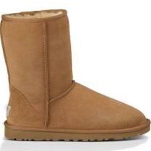 Brown Classic Ugg Boots