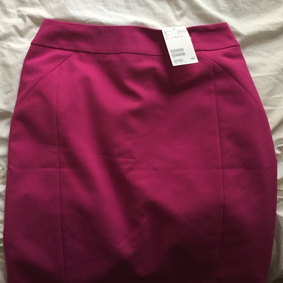 NWT Pencil Skirt