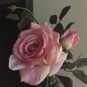 Meet your Posher, Heidy