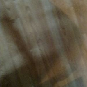 Meet your Posher, Halie