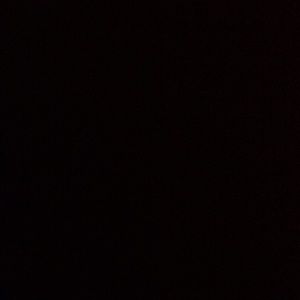 Meet your Posher, Owen