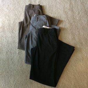 LOFT "Julie" dress pants