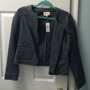 Ann Taylor LOFT gray/blue jacket