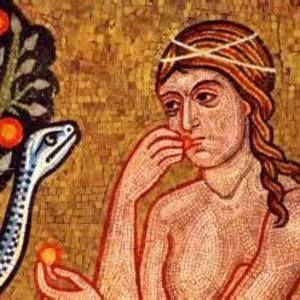 Meet your Posher, Amelia