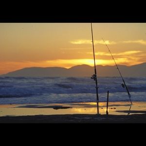 Meet your Posher, Jace