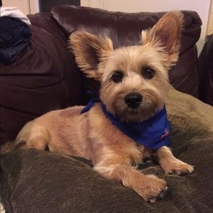 Meet your Posher, Shaye