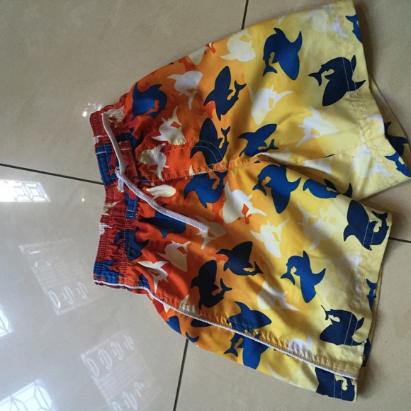 Shark Suit