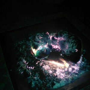 Meet your Posher, Catherine