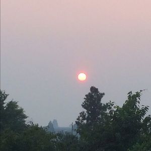 Meet your Posher, Bradley