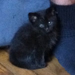 Meet your Posher, Michele