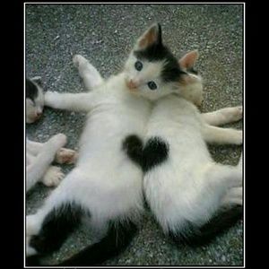 Meet your Posher, Kari