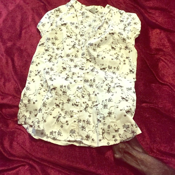Light button up