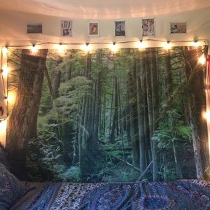DO NOT PURCHASE Forest Tapestry