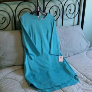 Carrie an Turquoise sheath dress