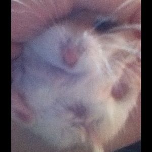 Please help me with shipping!