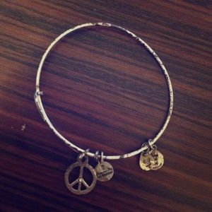 Alex&Ani bracelet
