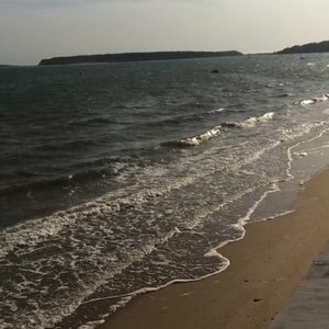 Meet your Posher, Paige