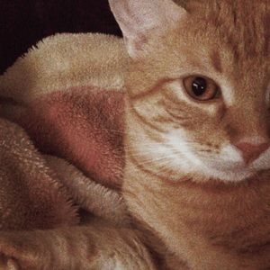 Meet your Posher, Maribel