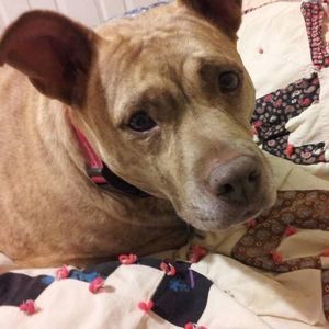 Meet your Posher, Cathy