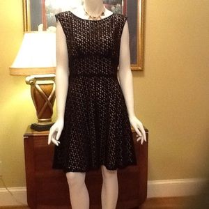 Loft Black dress with tan lining. Size 6
