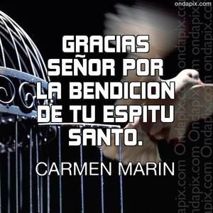 Meet your Posher, Carmen