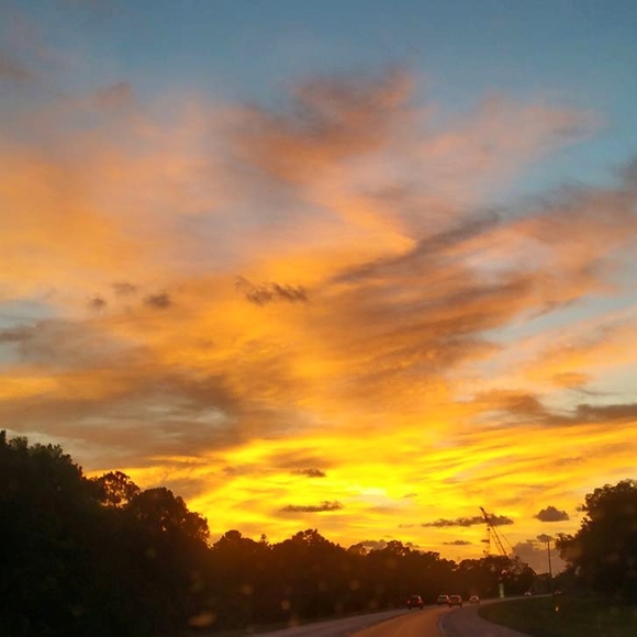 Meet your Posher, Erin - Picture 1 of 1