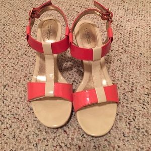 Coral wedges