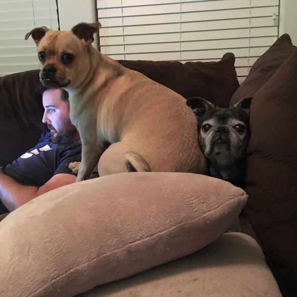 Meet your Posher, Michelle - Picture 7 of 8