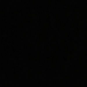 Meet your Posher, Janice