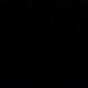 Meet your Posher, Audrey