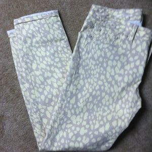 Ann Taylor Loft Stretch Denim