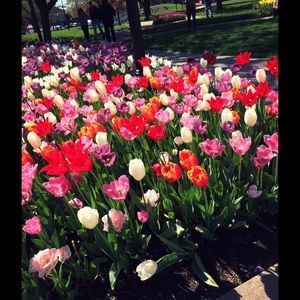 Meet your Posher, Caitlin