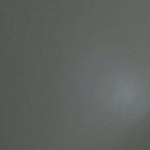 Meet your Posher, Evelyn