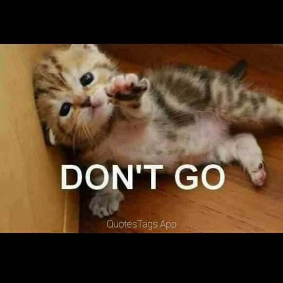 Meet your Posher, Bianca - Picture 1 of 1