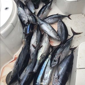 Meet your Posher, Kane