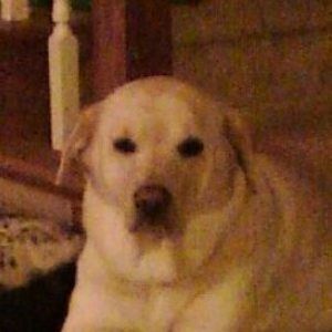 Meet your Posher, Hope