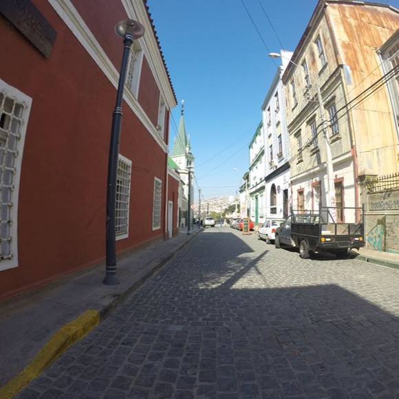 Meet your Posher, Conner - Picture 1 of 1