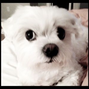 Meet your Posher, Tom