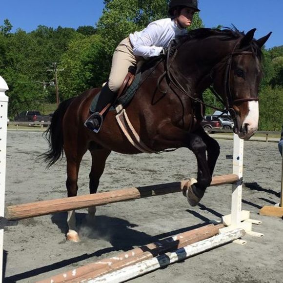 Meet your Posher, Susanna - Picture 1 of 1