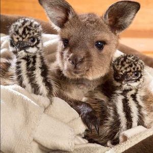 Meet your Posher, Georgia