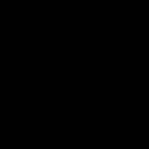 Meet your Posher, Cassidy